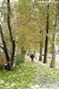Город